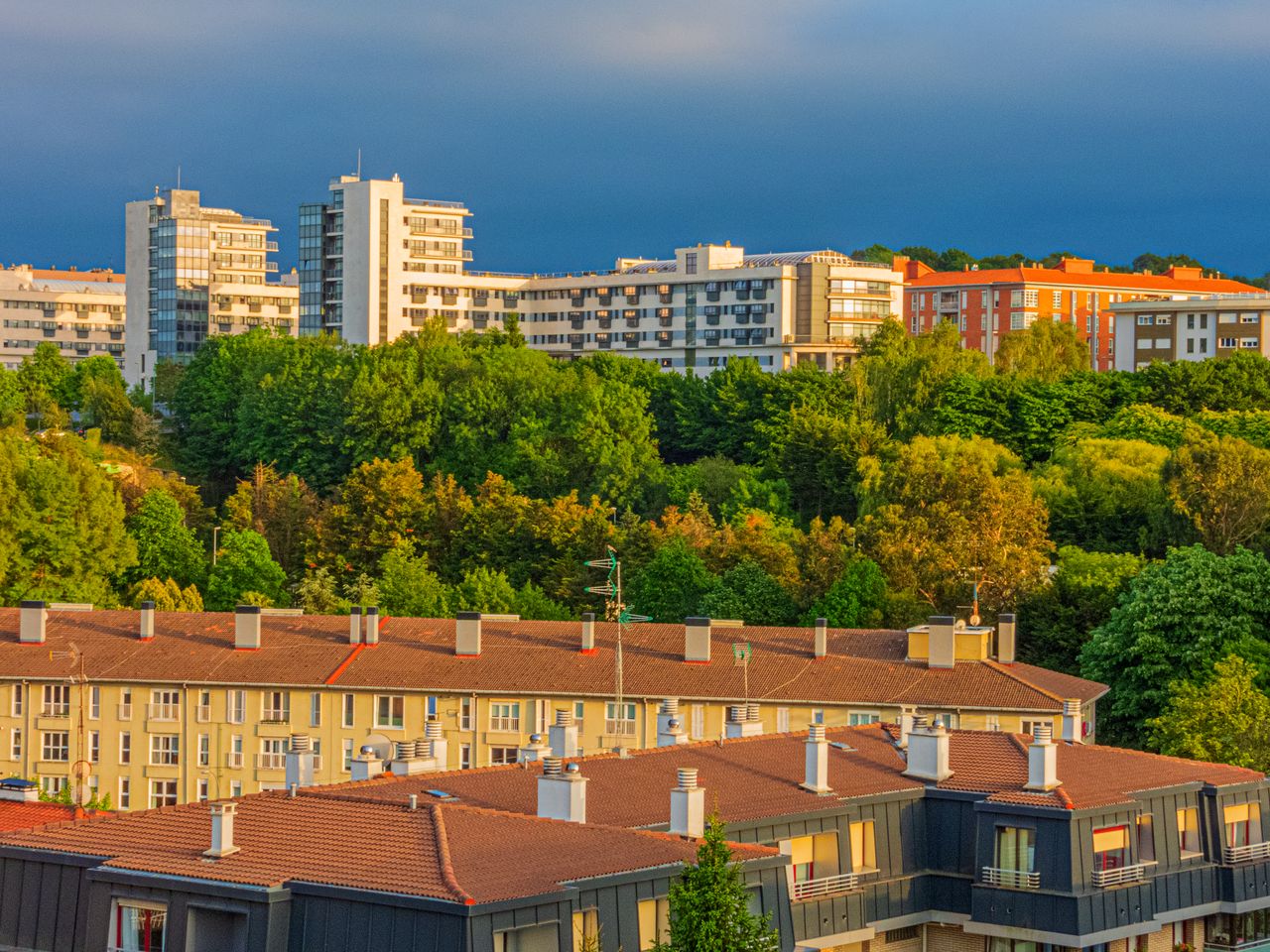 services-01 A scenic urban landscape featuring modern buildings and lush greenery at sunset.